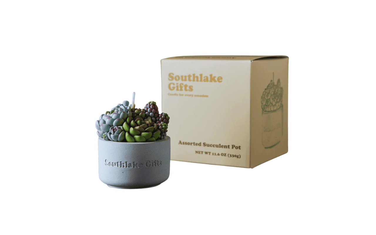 Southlakegifts canada :Assorted Succulent Candle with Concrete Vessel