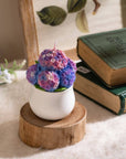 Immerse your space in a delightful floral fragrance with the Southlake Gifts Canada Hydrangea Candle, crafted to perfection