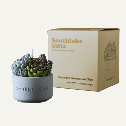 Southlake Gifts Canada Succulent Candle with cement Vessel.