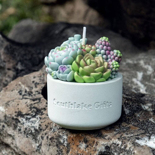 Southlake Gifts Canada proudly presents the Assorted Succulent Candle with Concrete Vessel from the Blooms & Blossoms Candle Collection. Infuse your space with calming vibes and greenery while enjoying the exquisite craftsmanship of this unique candle