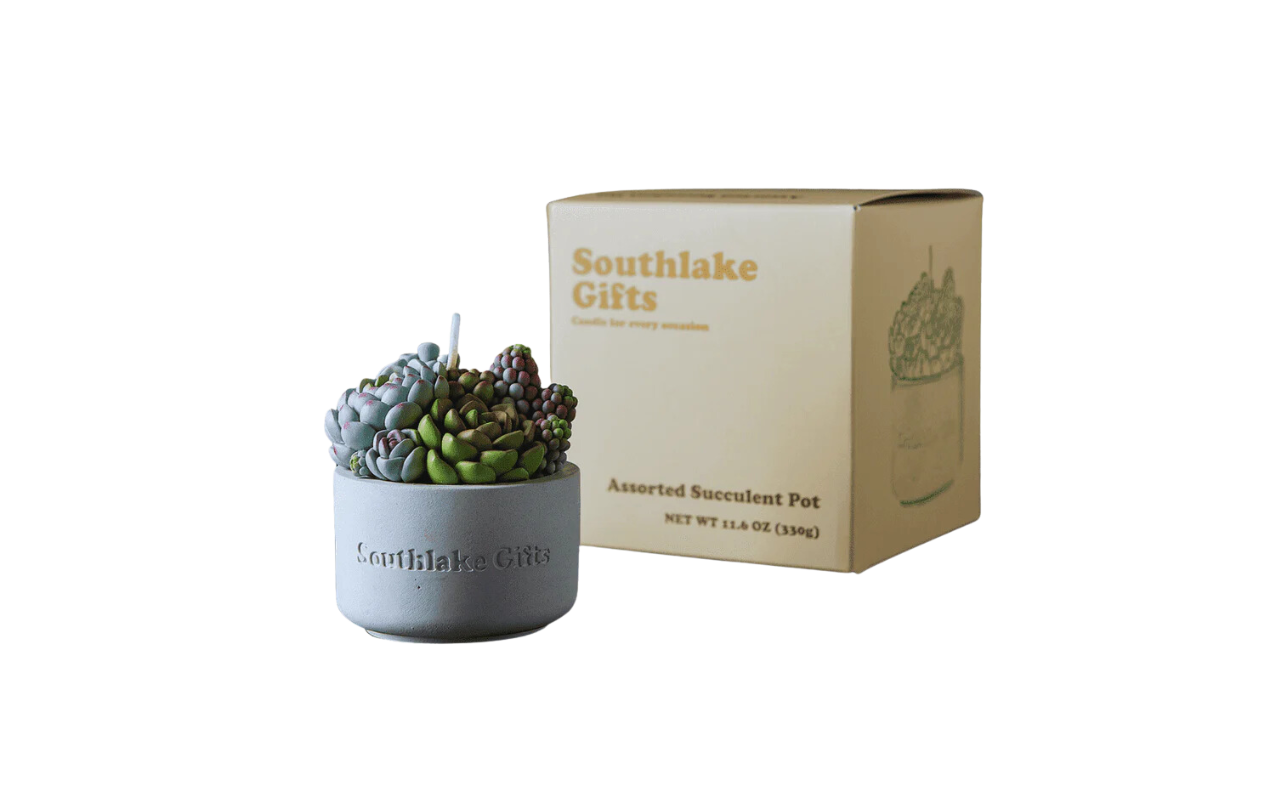 Southlakegifts canada ：Assorted Succulent Candle with Concrete Vessel