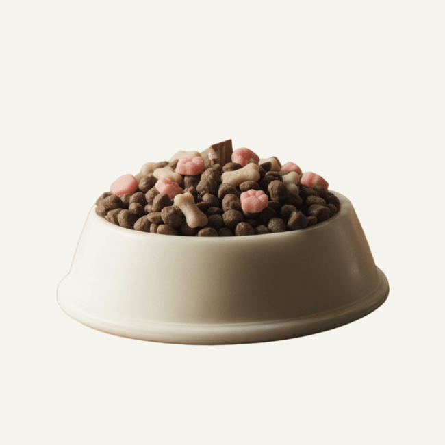Pawfection Food Candle - Entice your furry friends with this whimsical candle featuring realistic kibble and miniature bones. The light vanilla scent adds a delightful touch to your home. Available at Southlake Gifts Canada