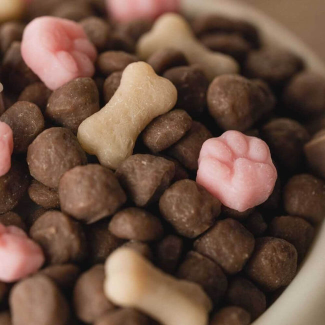 Pawfection Food Scented Candle - Create a fun and pet-friendly atmosphere with this adorable candle. The realistic kibble and miniature bones will drive your furry friends wild, while the light vanilla scent offers a pleasant fragrance. Available at Southlake Gifts Canada