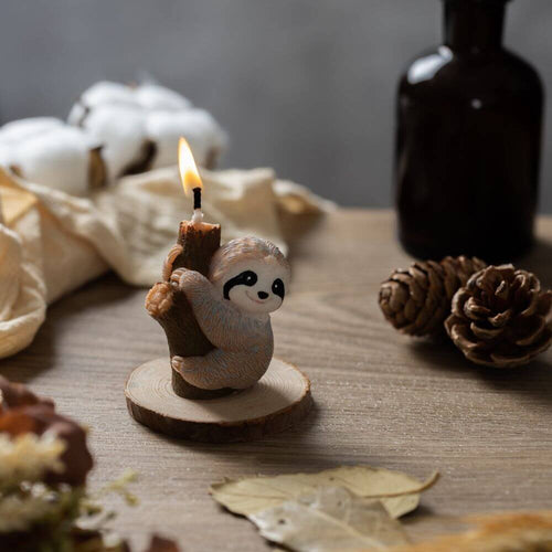 An adorable image of a sloth. Perfect addition to any nature-themed decor from Southlake Gifts Canada,