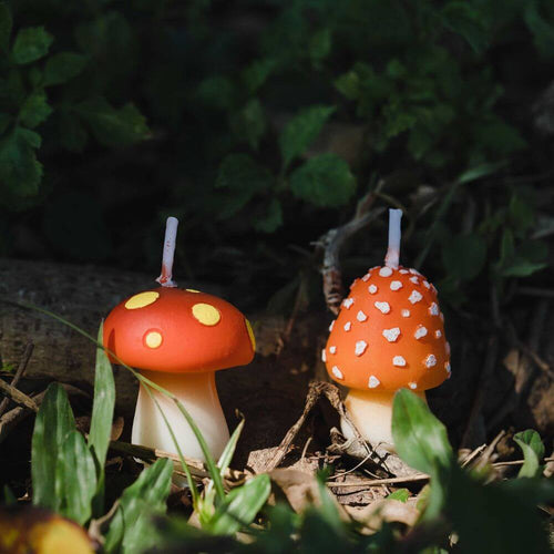 The Mini Mushroom Candle Set brings a whimsical touch of nature to any decor from Southlake Gifts Canada.