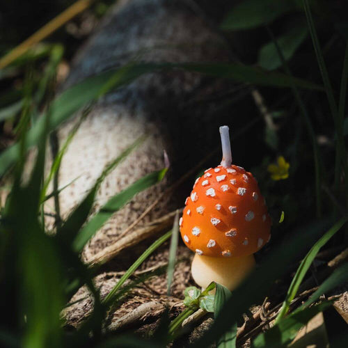 Mini Mushroom Candle with charming mushroom-inspired design, available at Southlake Gifts Canada