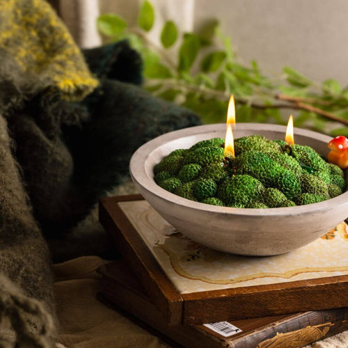 The free little mushroom comes with the moss candle bowl from Southlake Gifts Canada, your ultimate candle gift shop in Canada