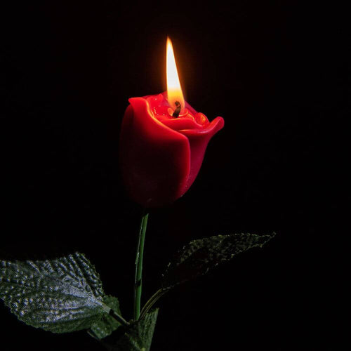 Light this Rose Candle up in night and enjoy the romantic season in the dark.