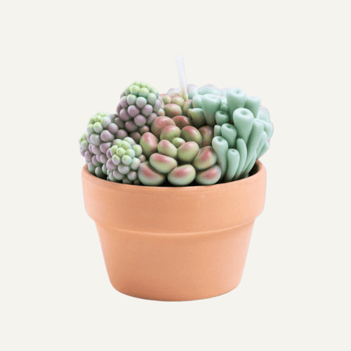 Succulent and Moss Taper Candle Bundle