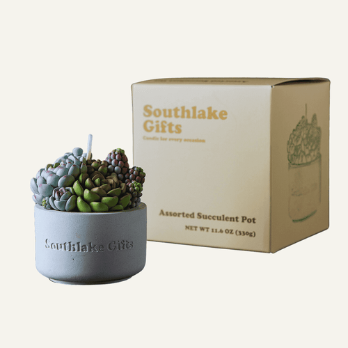 Southlake Gifts Canada Succulent Candle with cement Vessel. 