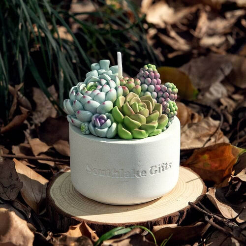 Succulent Refillable Wood Wick Candle