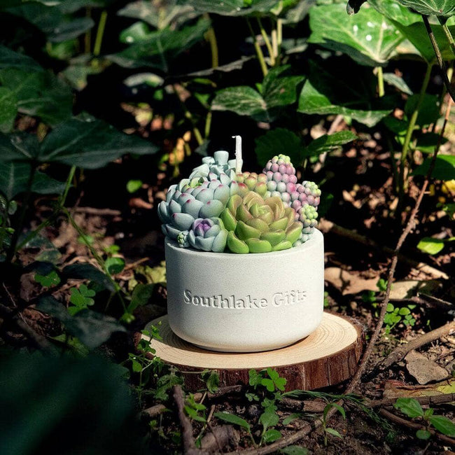 Southlake Gifts Canada presents the Assorted Succulent Candle with Concrete Vessel: a perfect blend of aesthetic appeal and peaceful ambiance. Enhance your living space with this handcrafted candle that also serves as eye-catching home decor