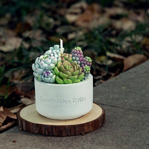 Immerse yourself in the beauty of the Assorted Succulent Candle with Concrete Vessel from Southlake Gifts Canada. With its carefully crafted concrete vessel, this candle is not just a decor piece but a stunning work of art