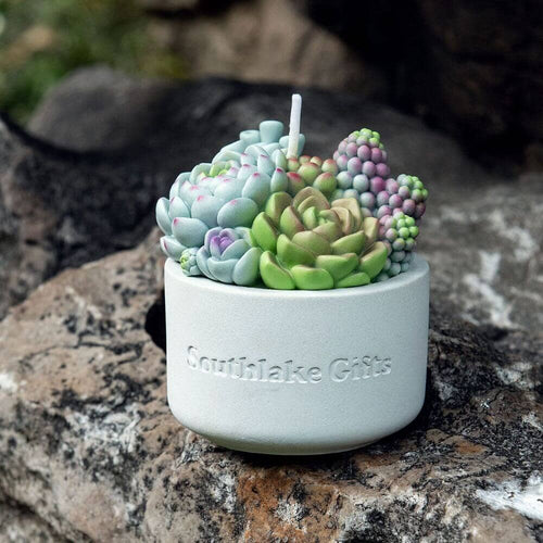 Southlake Gifts Canada proudly presents the Assorted Succulent Candle with Concrete Vessel from the Blooms &amp; Blossoms Candle Collection. Infuse your space with calming vibes and greenery while enjoying the exquisite craftsmanship of this unique candle