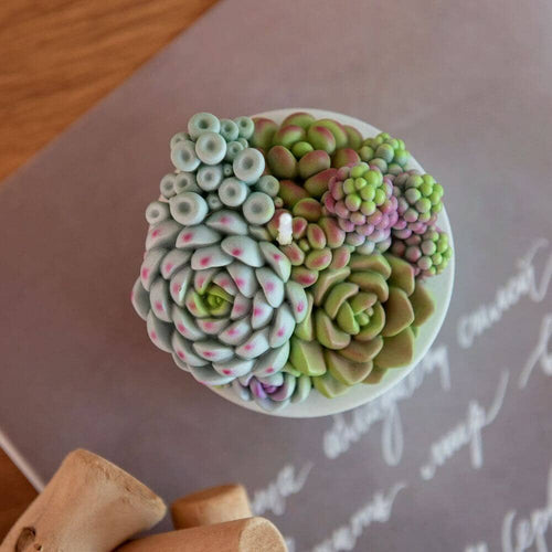 Bird&#39;s-eye view of the Succulent Candle with concrete vessel from Southlake Gifts Canada, your ultimate candle gifts shop in Canada