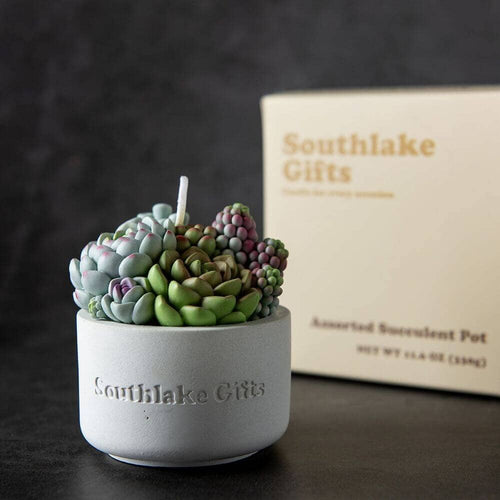Southlake Gifts Canada invites you to experience the Assorted Succulent Candle with Concrete Vessel. Transform your home with this handcrafted candle, meticulously designed to bring both beauty and serenity to any room