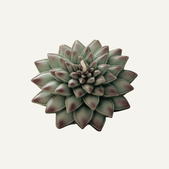 Shop the Succulent Candle at Southlake Gifts Canada: A realistic and charming botanical candle, perfect for plant lovers