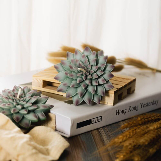 The Succulent Candle brings a touch of greenery in a nature plant lover's home from Southlake Gifts Canada.