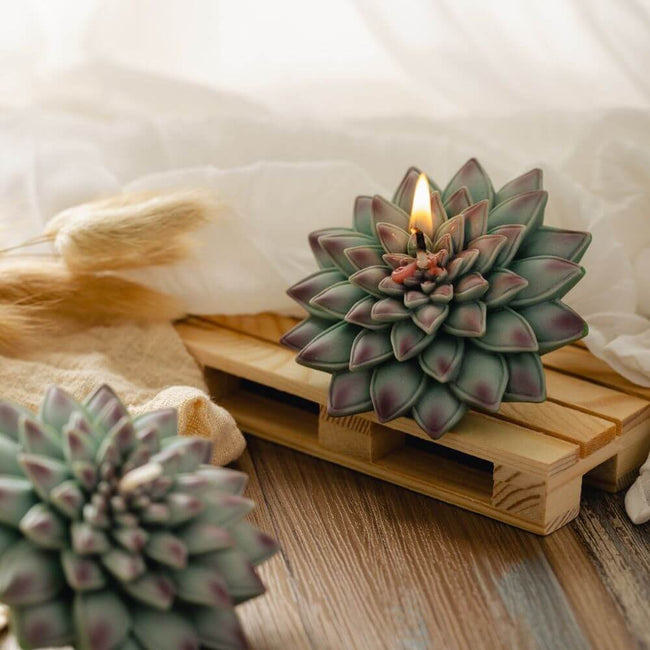 Enhance your home decor with the Succulent Candle from Southlake Gifts Canada, replicating the beauty of real succulents