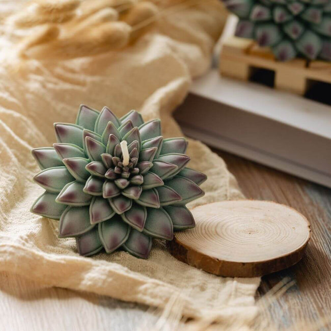 Handcrafted Succulent Candle, a unique gift idea or a delightful addition to your own collection, available at Southlake Gifts Canada