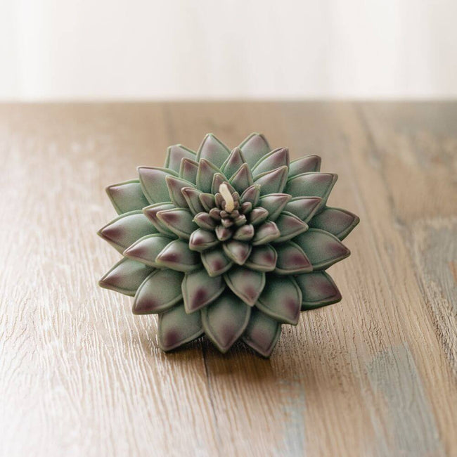 Bring nature indoors with the Succulent Candle - a lifelike, aromatic candle that captures the essence of succulent plants, exclusively at Southlake Gifts Canada