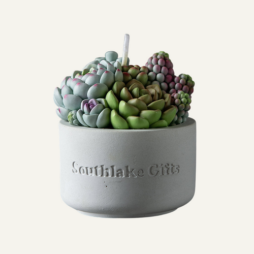 Succulent and Moss Taper Candle Bundle